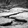 Peaceful Snowy Stream